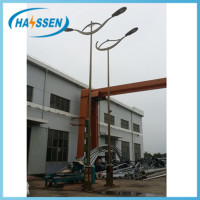 decorative lamp pole powder coating with special style